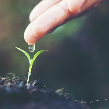 ¿Resi qué? ¡Resiliencia! ¿Y eso qué es?