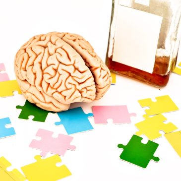 El cerebro no es un órgano “terminado” y podemos alterar su “programación”