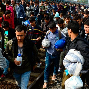 306 millones de personas en el mundo necesitan de acción humanitaria